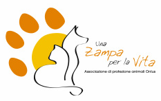 Profilo Associazione