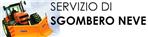 Sgombero neve
