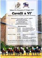Cavalli a Vì
