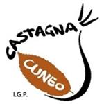 Consorzio